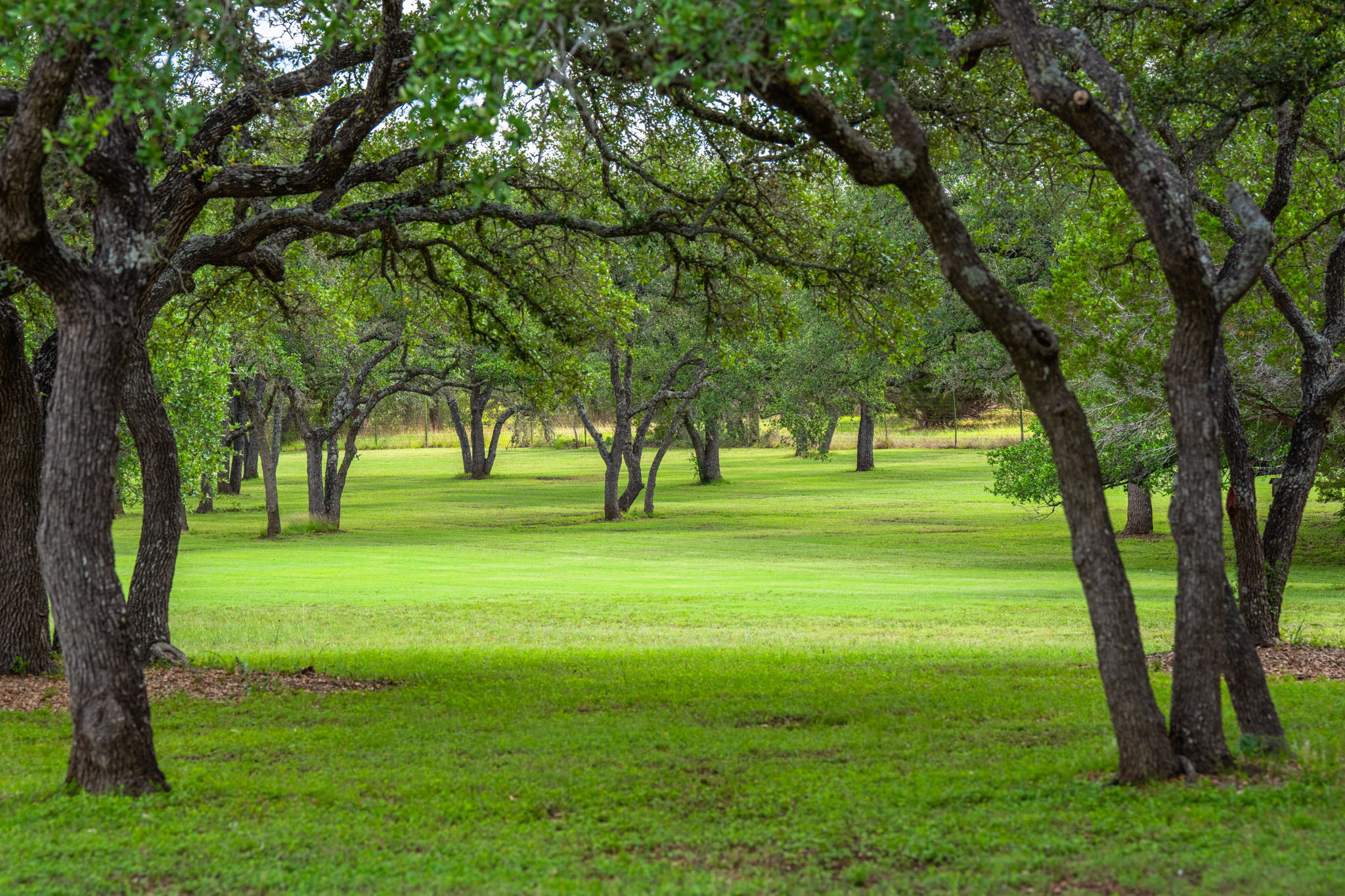 4-S Ranch | Blanco River Frontage, Private Runway, & Luxury Residences ...